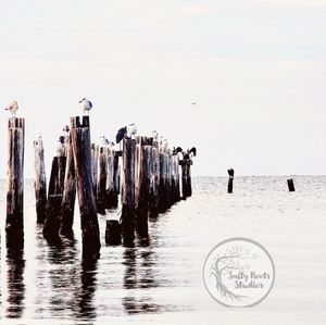 11x14 Photography print